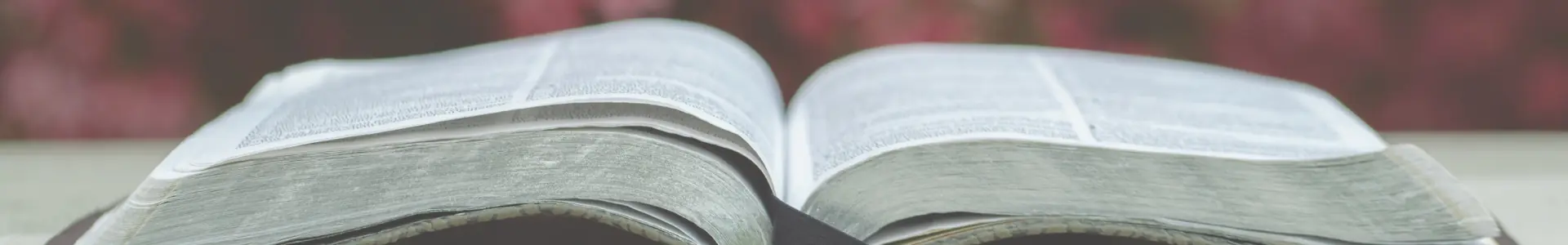 An open Bible